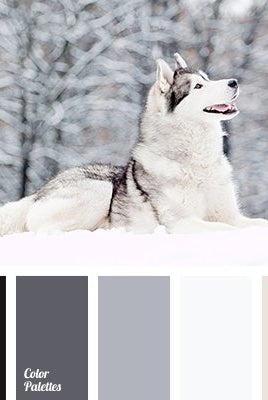 "Winter Wolf" Sweater/FT Knit Palette Bundle. - Boho Fabrics