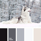 "Winter Wolf" Sweater/FT Knit Palette Bundle. - Boho Fabrics
